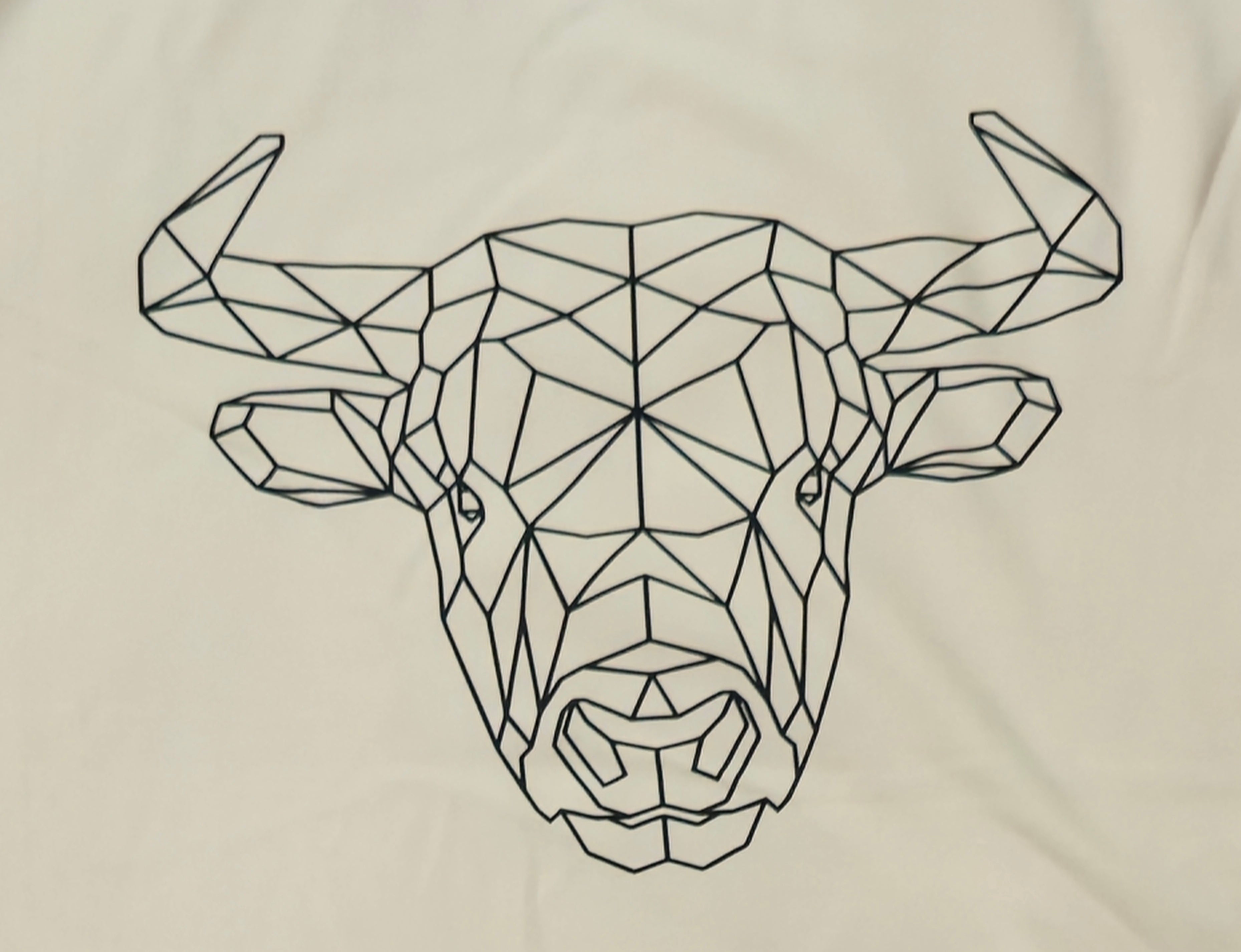 Geometric Bull