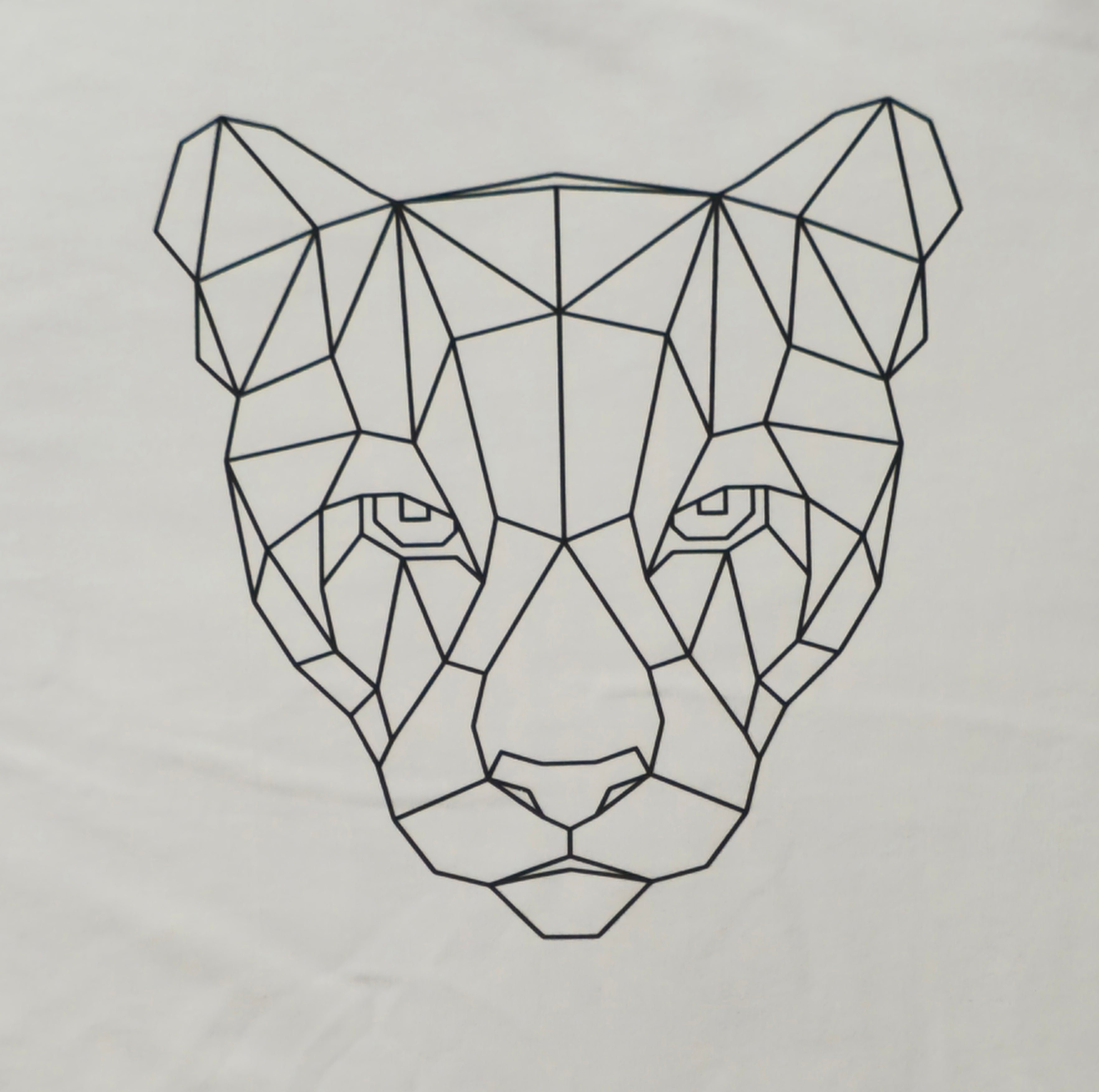 Geometric puma